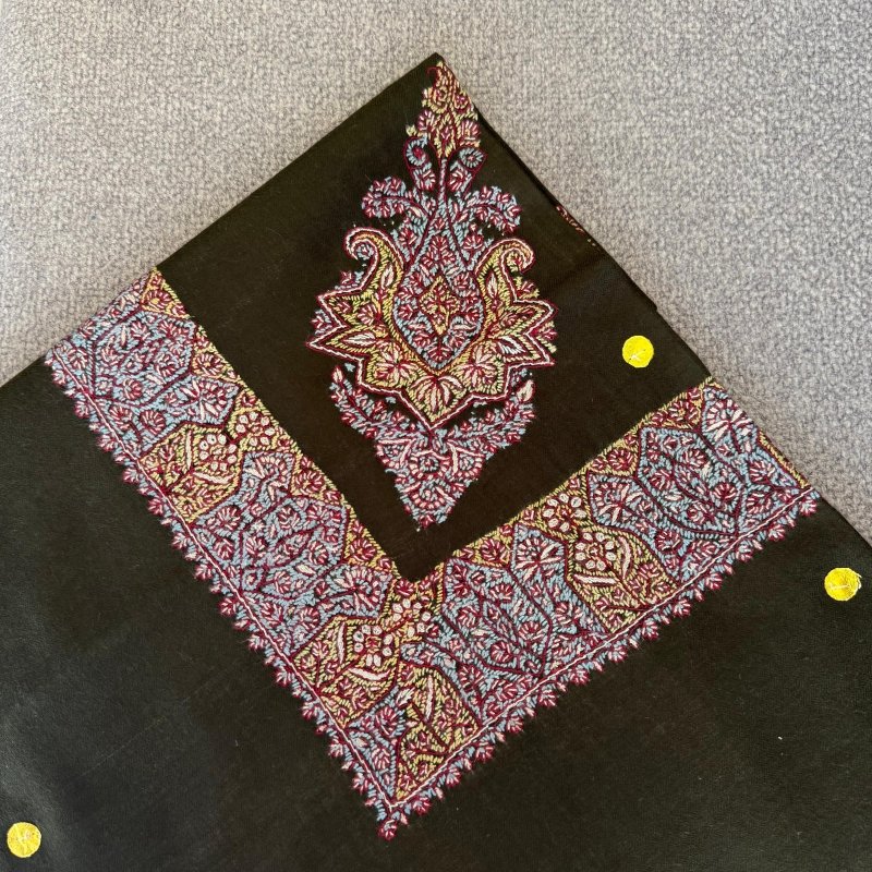 مصر بشمينا كشميري