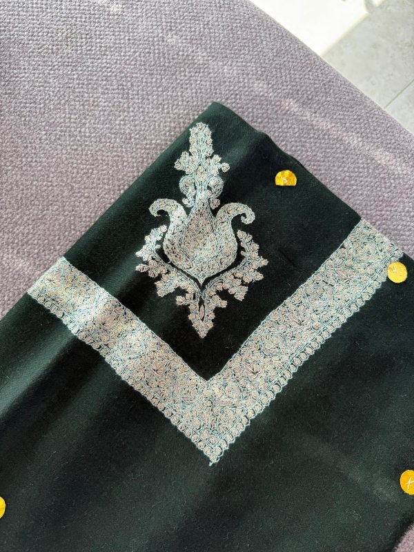 مصر بشمينا كشميري