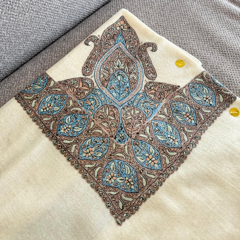 مصر بشمينا كشميري