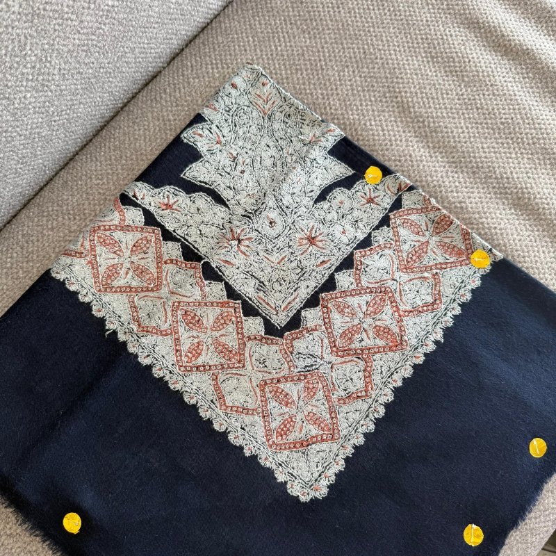 مصر بشمينا كشميري