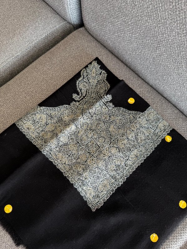 مصر بشمينا كشميري